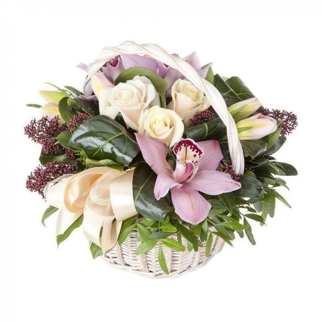 Вечно красивая