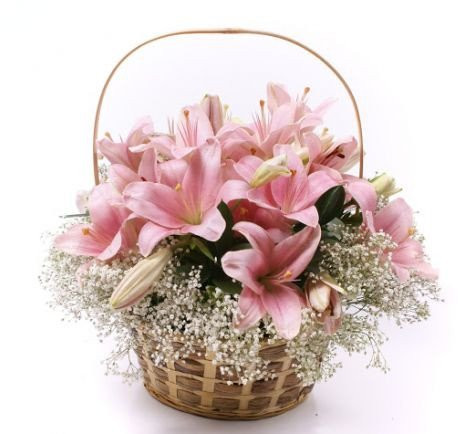 Ослепительная Ослепительная